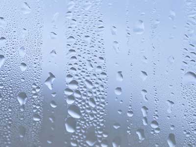 結露水がたまり、雨漏りと見間違えるケース
