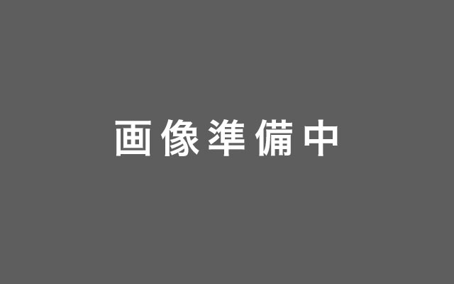 現在準備中です