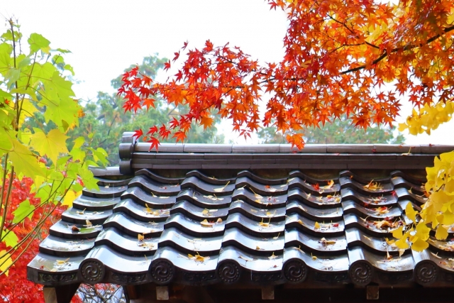 京都の瓦屋根