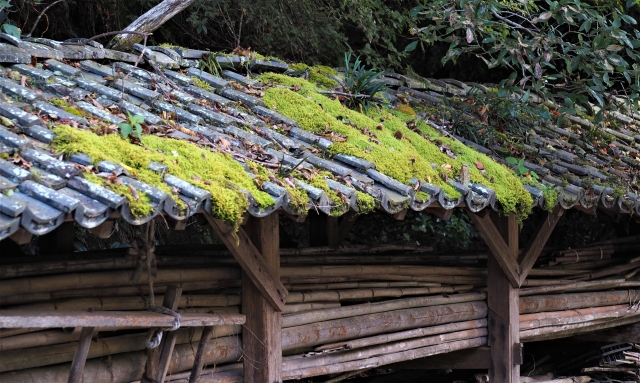 草や苔が生えた瓦屋根