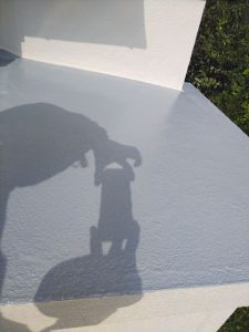 トイレの屋根の塗装