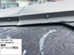 泉南市のスレート屋根雨漏り修理