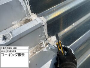 和泉市の大型倉庫の折板屋根雨漏り修理　施工中写真