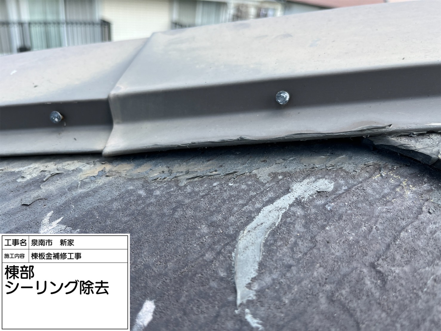 泉南市のスレート屋根雨漏り修理　施工後写真