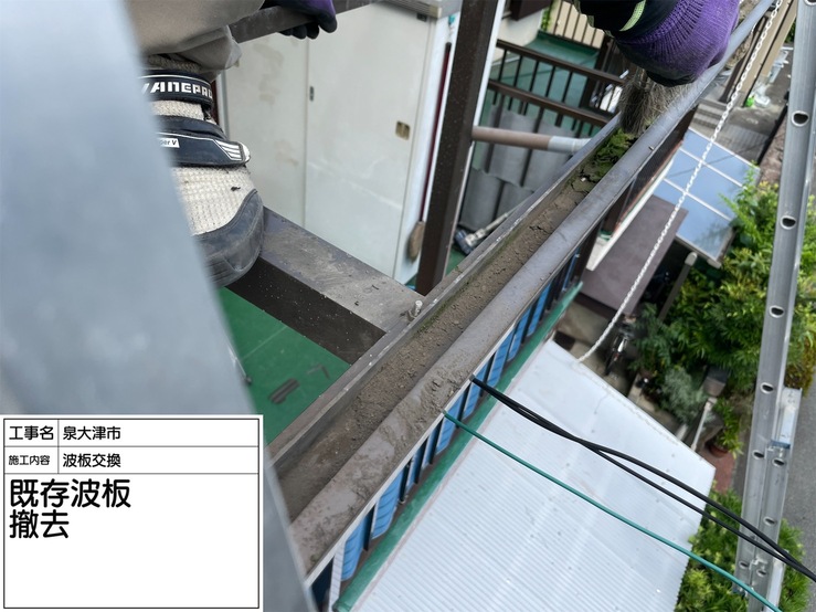 泉大津市の屋根波板交換・一部雨樋交換工事　施工後写真