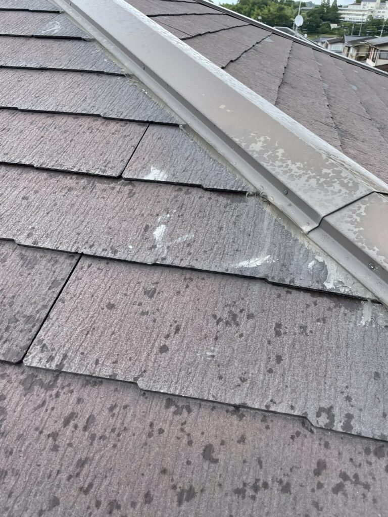 泉南市のスレート屋根雨漏り修理　施工前写真