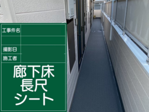 江戸川区でのシート工事の様子