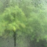 雨漏りを引き起こす意外な原因「結露」とは？原因と対策を徹底解説