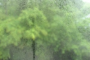 雨漏りを引き起こす意外な原因「結露」とは？原因と対策を徹底解説