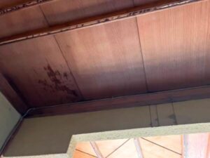雨漏りの早期発見と定期点検の重要性｜放置するとどうなる？プロが解説